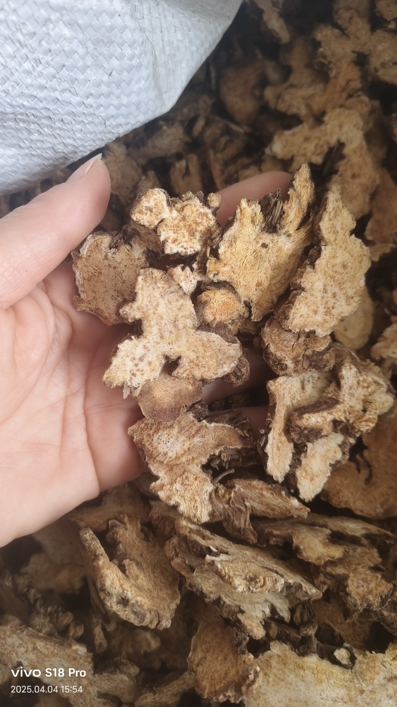 《苍术》内蒙苍术朱砂点多正品干货苍术片