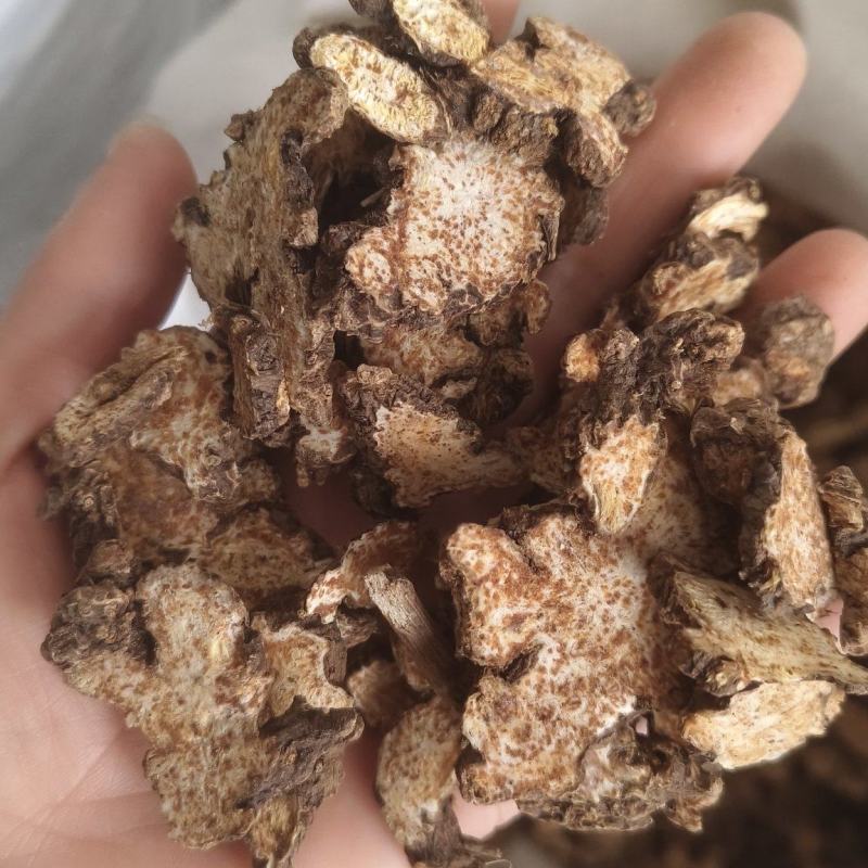 《苍术》内蒙苍术朱砂点多正品干货苍术片