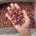 平阴玫瑰花茶干花蕾茶玫瑰花茶袋装250克花干花苞茶