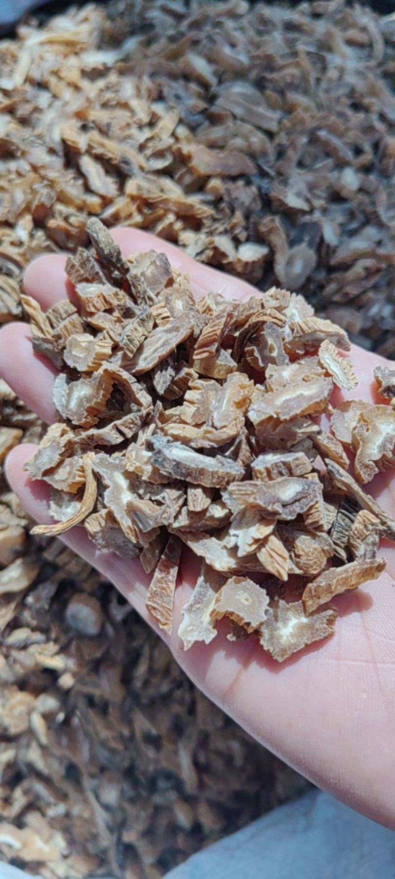 百部大货价格