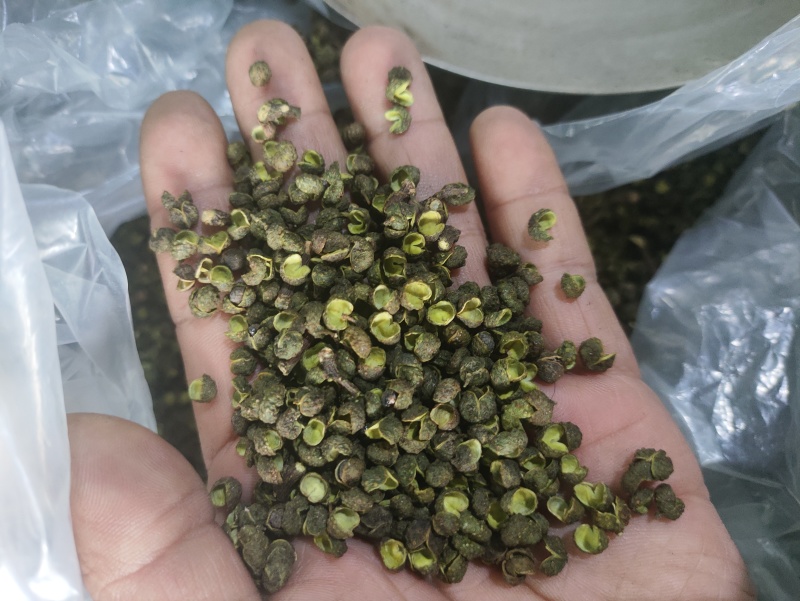 麻椒花椒江津区麻椒什么等级货都有，丫丫货，通货，普货