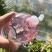 山东平阴玫瑰重瓣玫瑰花纯露花水玫瑰纯露大瓶