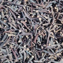 皂刺大货价格