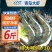 顺丰包邮）大虾鲜活新鲜冷冻超大虾白虾多省包邮免运费
