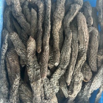 中药材肉苁蓉批发
