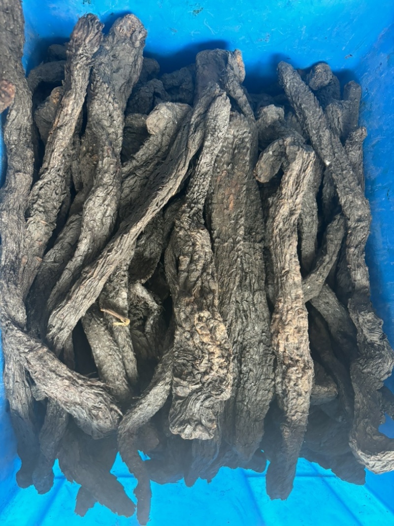 中药材肉苁蓉批发