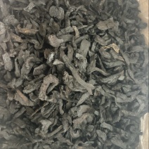 中药材肉苁蓉片