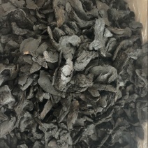 中药材肉苁蓉片