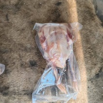精品真空包装乳鸽