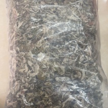 艾叶大货批发1公斤一包艾叶大叶片