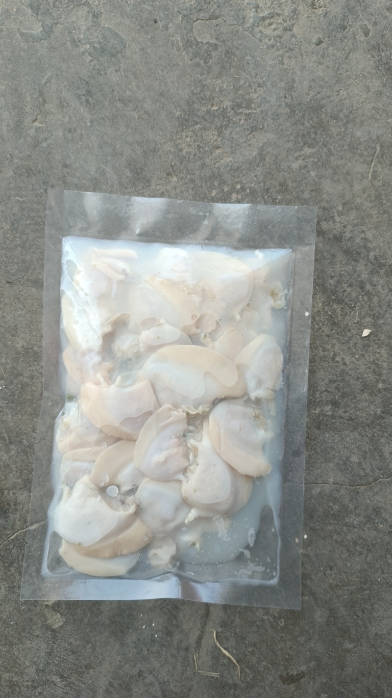 珍珠蚌肉，