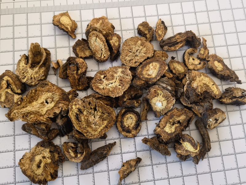 羌活统甘肃家中羌活关书药业批发中药材1000g起批