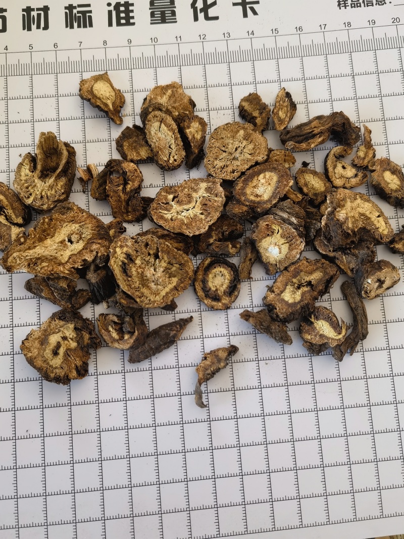 羌活统甘肃家中羌活关书药业批发中药材1000g起批