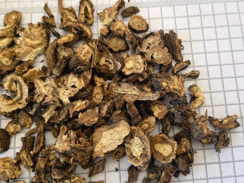 羌活统甘肃家中羌活关书药业批发中药材1000g起批