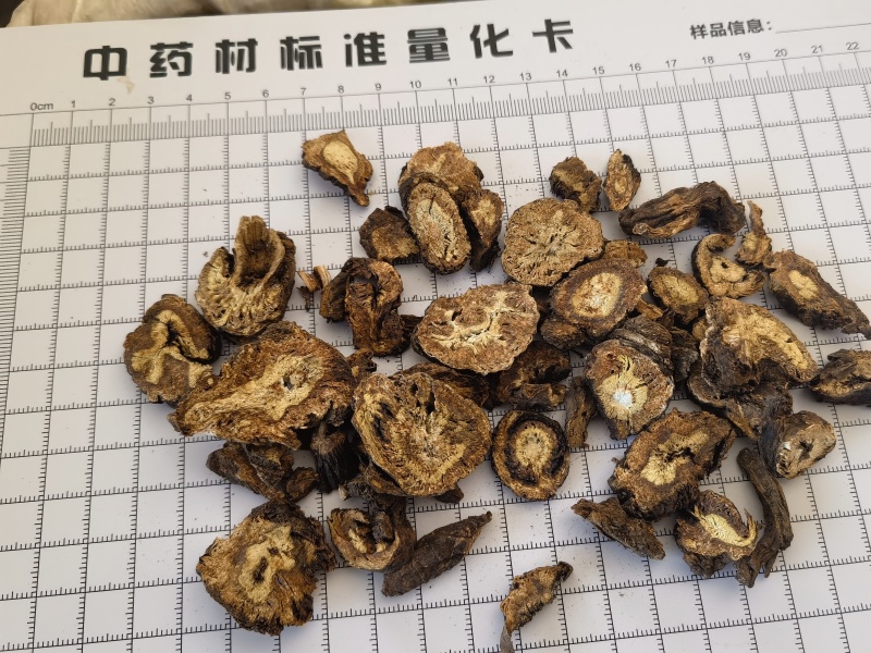 羌活统甘肃家中羌活关书药业批发中药材1000g起批