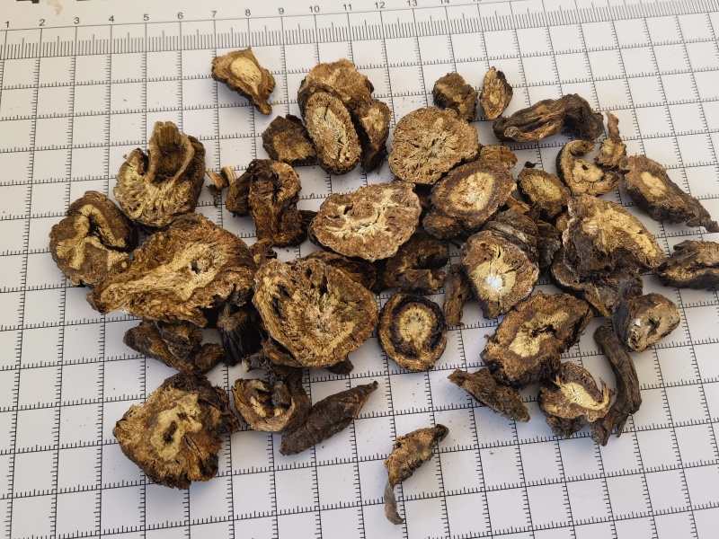 羌活统甘肃家中羌活关书药业批发中药材1000g起批