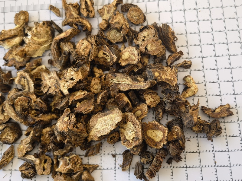 羌活统甘肃家中羌活关书药业批发中药材1000g起批