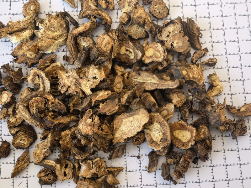 羌活统甘肃家中羌活关书药业批发中药材1000g起批