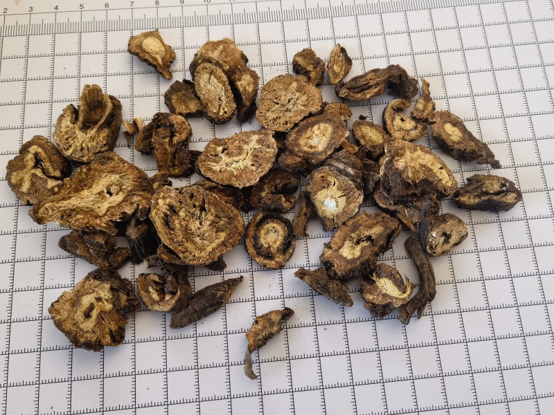 羌活统甘肃家中羌活关书药业批发中药材1000g起批