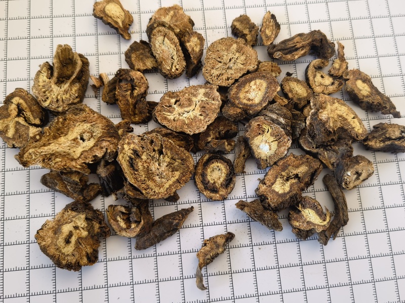 羌活统甘肃家中羌活关书药业批发中药材1000g起批