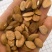桃仁，家桃仁大量现货1000g起批关书药业品质好