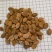 桃仁，家桃仁大量现货1000g起批关书药业品质好