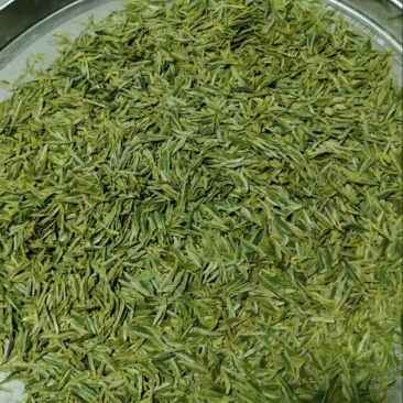 高山绿茶