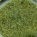 高山绿茶