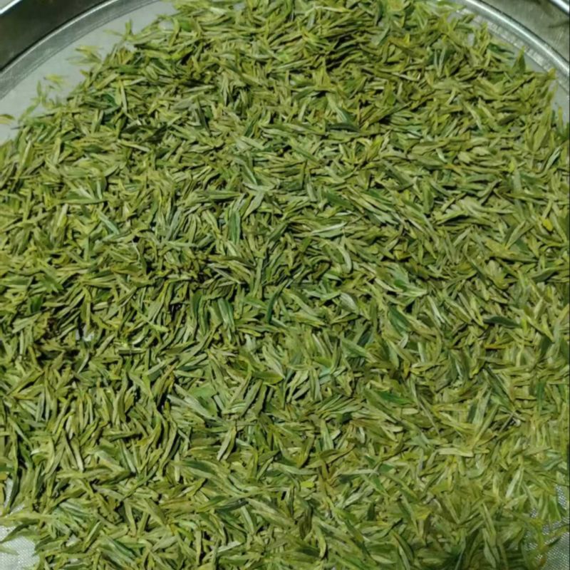 高山绿茶
