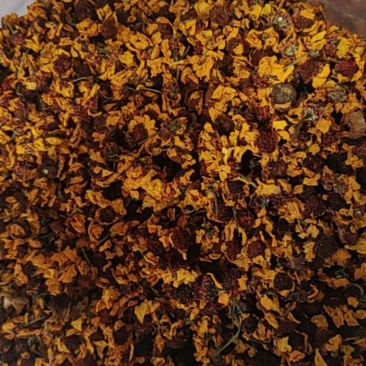 雪菊大货价格