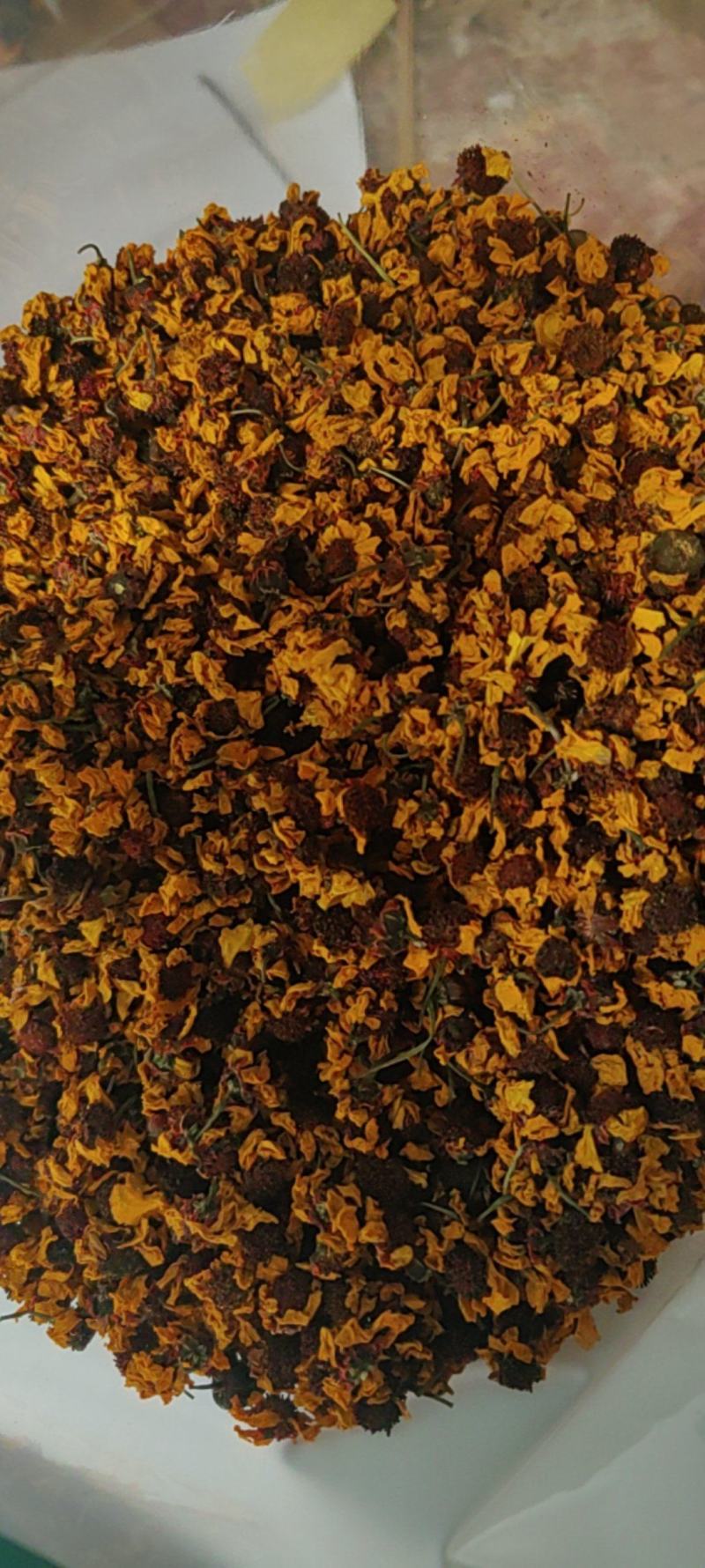 雪菊大货价格