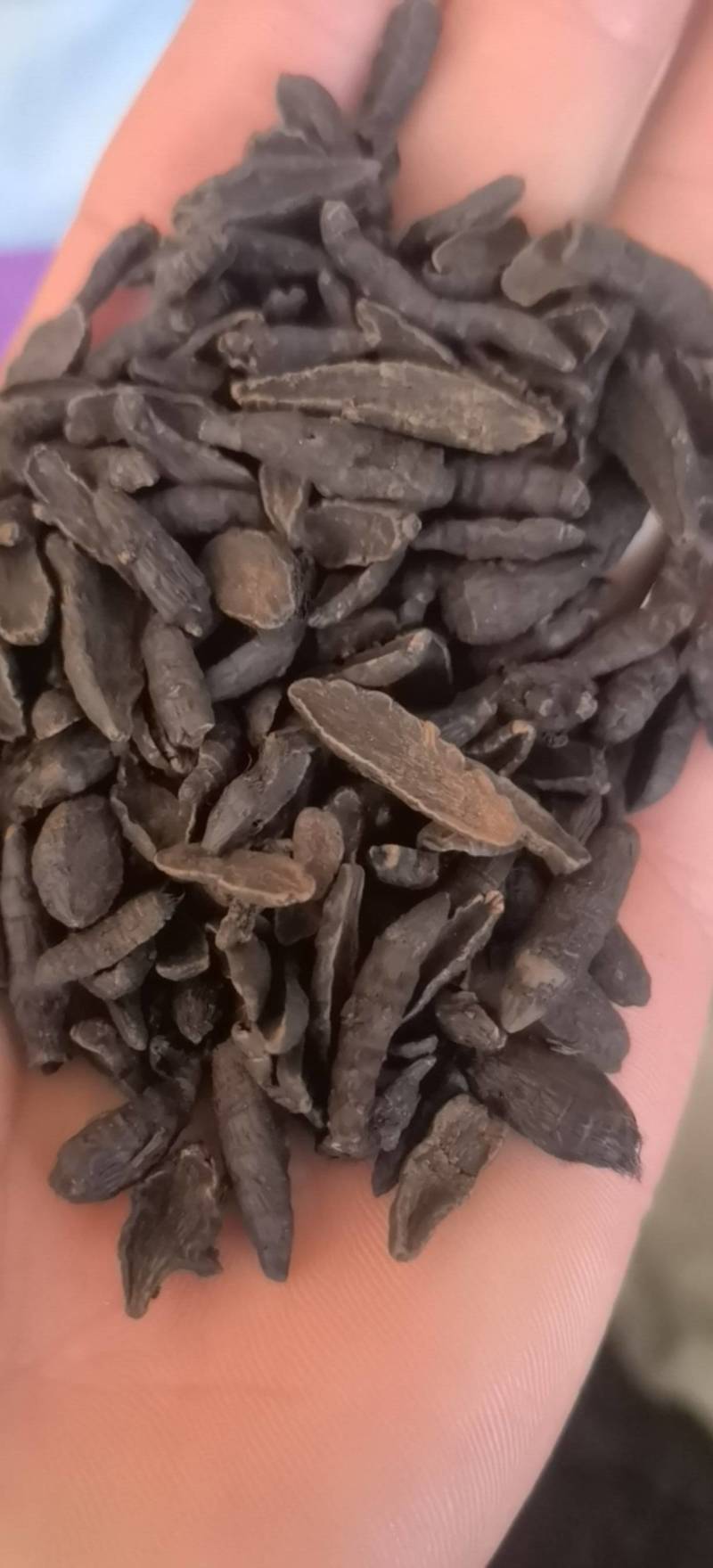香附醋香附片新货关书药业批发中药材1000克起