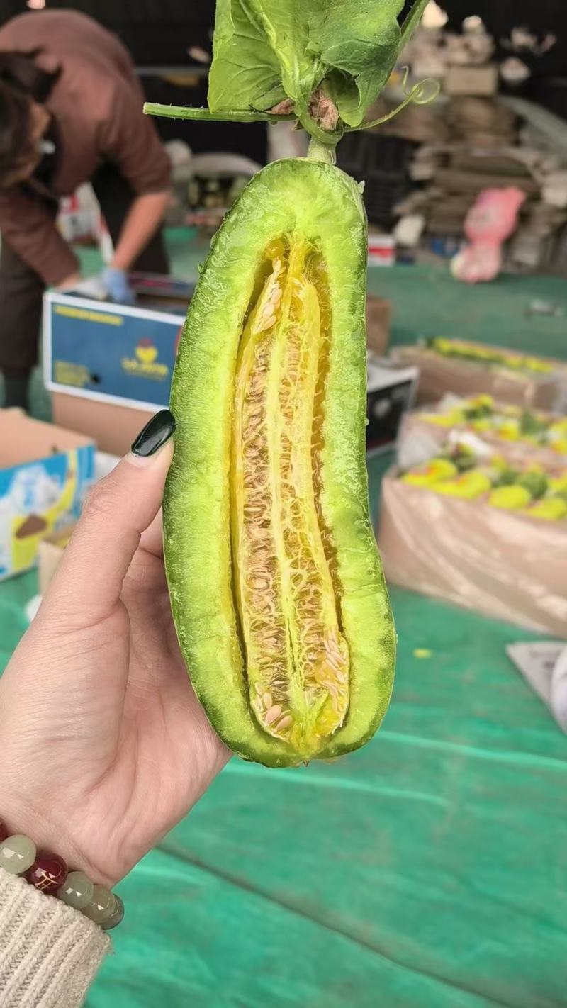 山东香瓜博洋甜瓜玉菇绿宝白玉东方蜜久红瑞产地直销一件起批