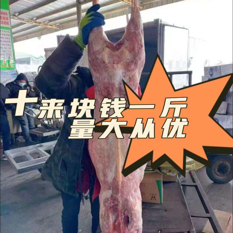 羊酮体