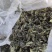 杜仲雄花批发一一一泡茶觉觉子