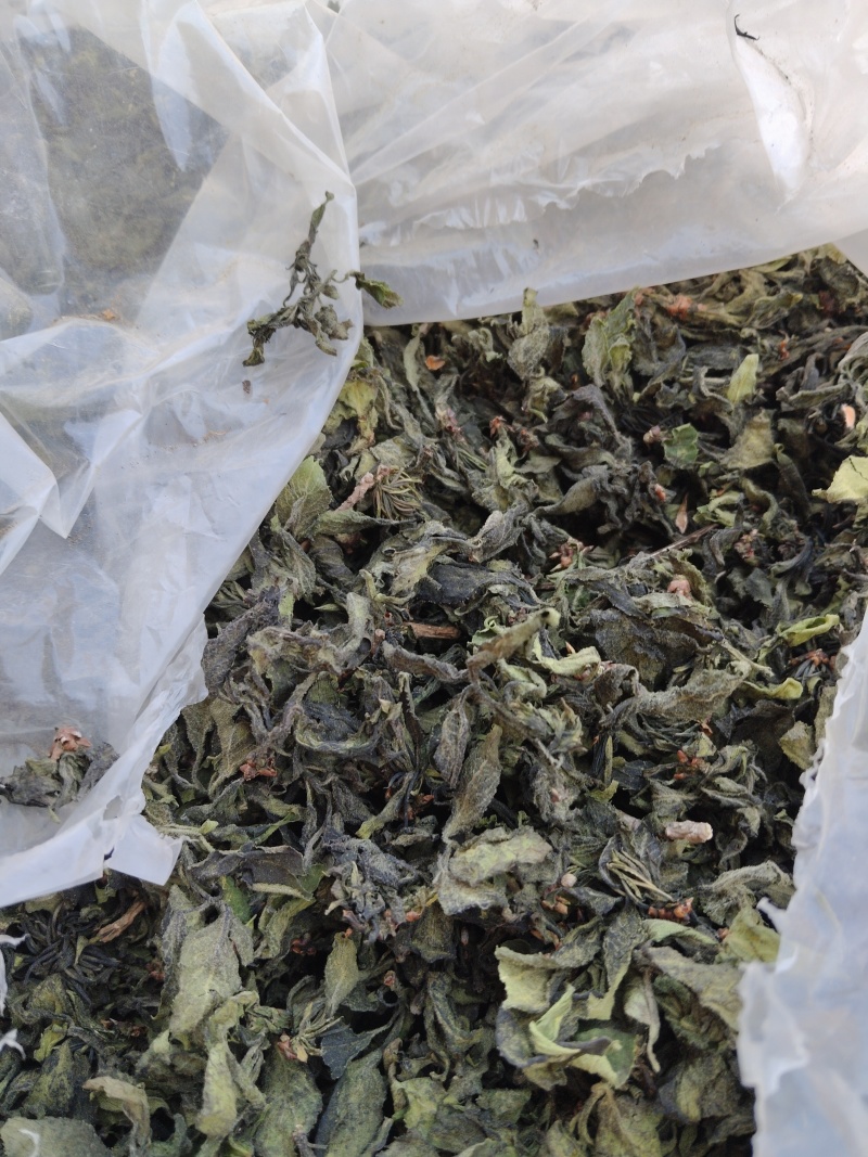 杜仲雄花批发一一一泡茶觉觉子