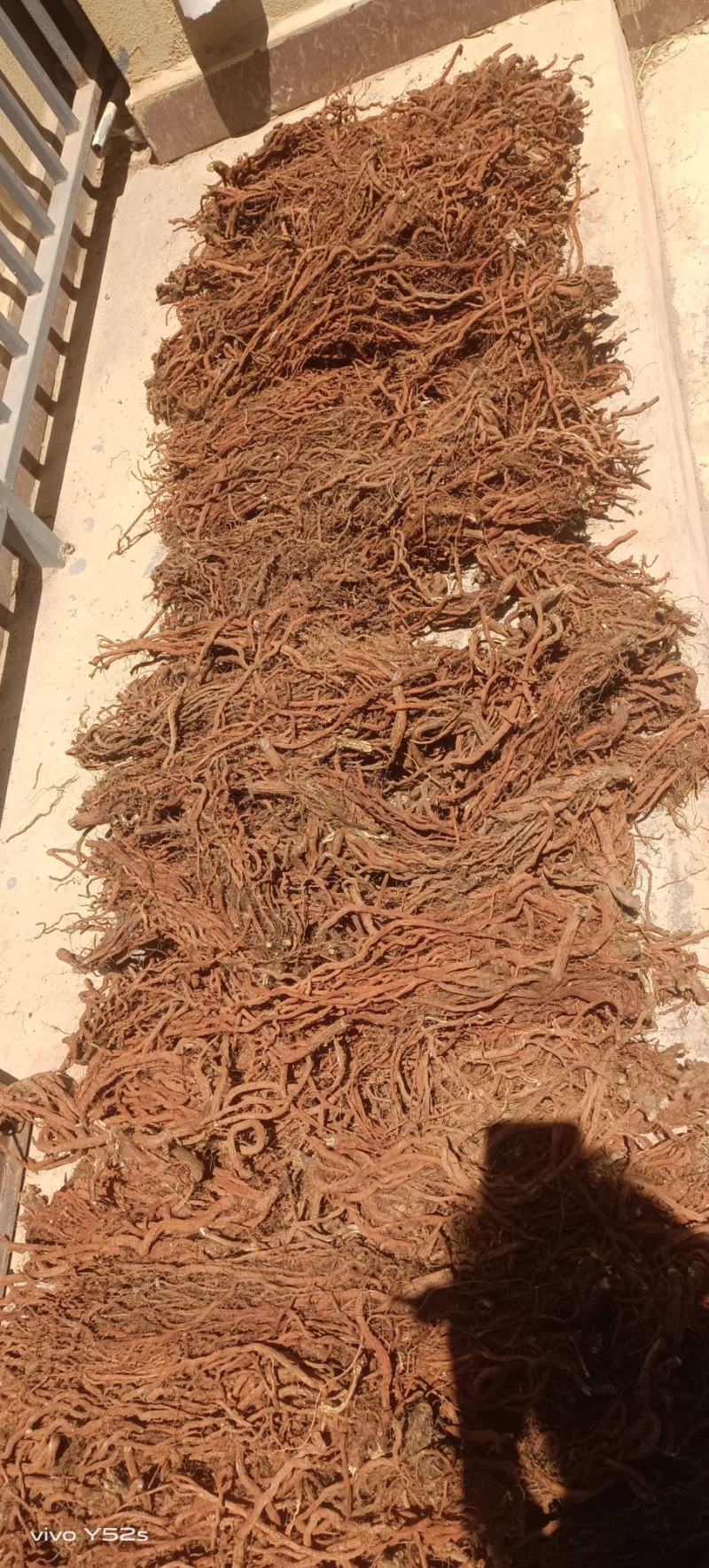 丹参个丹参片各种规格有货