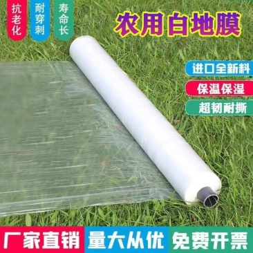 白色农用地膜保温保湿育苗蔬菜果园大棚小供棚膜