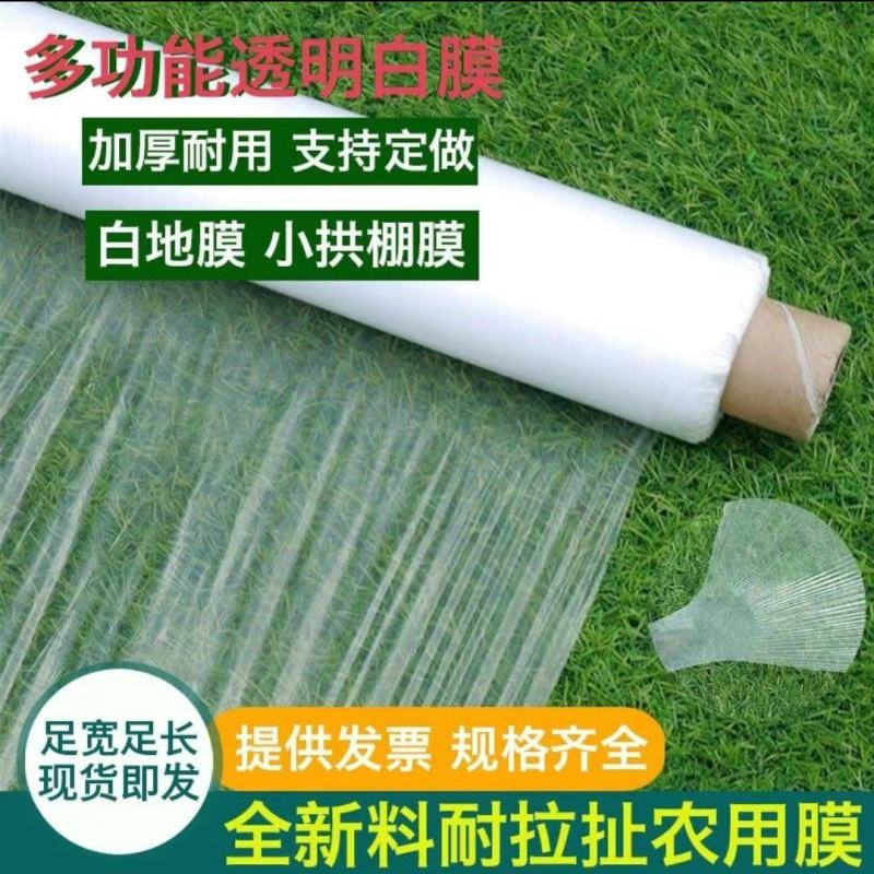 白色农用地膜保温保湿育苗蔬菜果园大棚小供棚膜