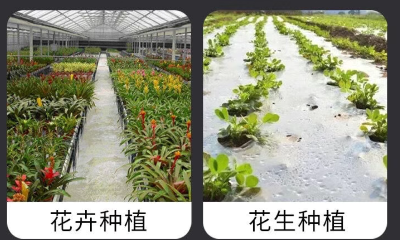 白色农用地膜保温保湿育苗蔬菜果园大棚小供棚膜