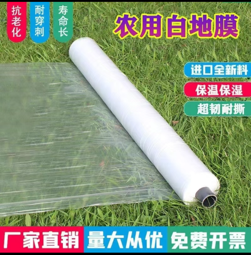白色农用地膜保温保湿育苗蔬菜果园大棚小供棚膜