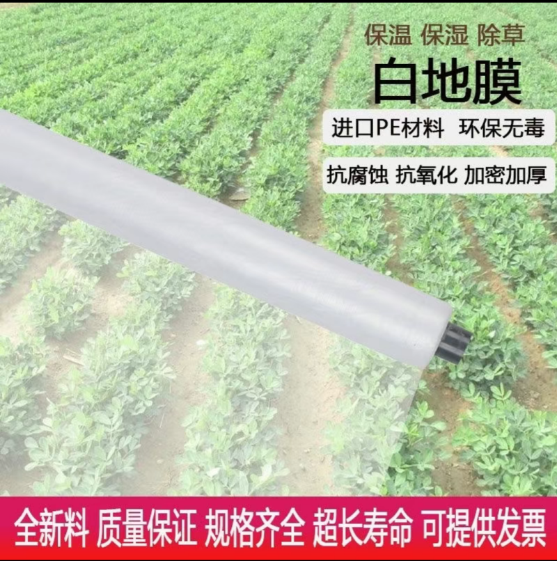 白色农用地膜保温保湿育苗蔬菜果园大棚小供棚膜