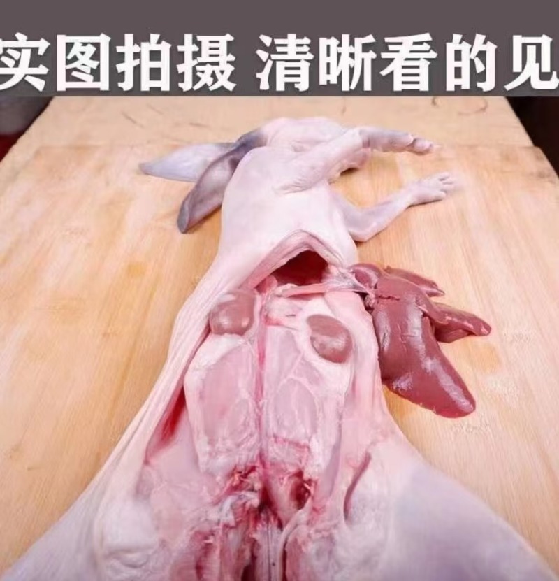 鲜杀老兔孑带皮白条兔肉