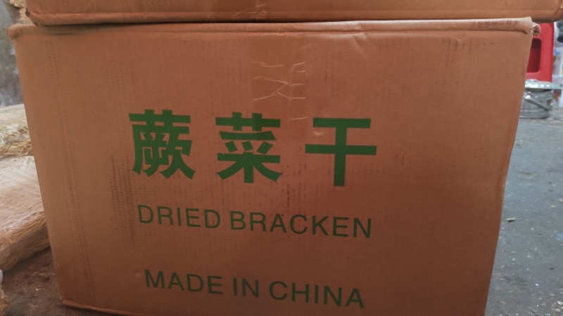 干蕨菜