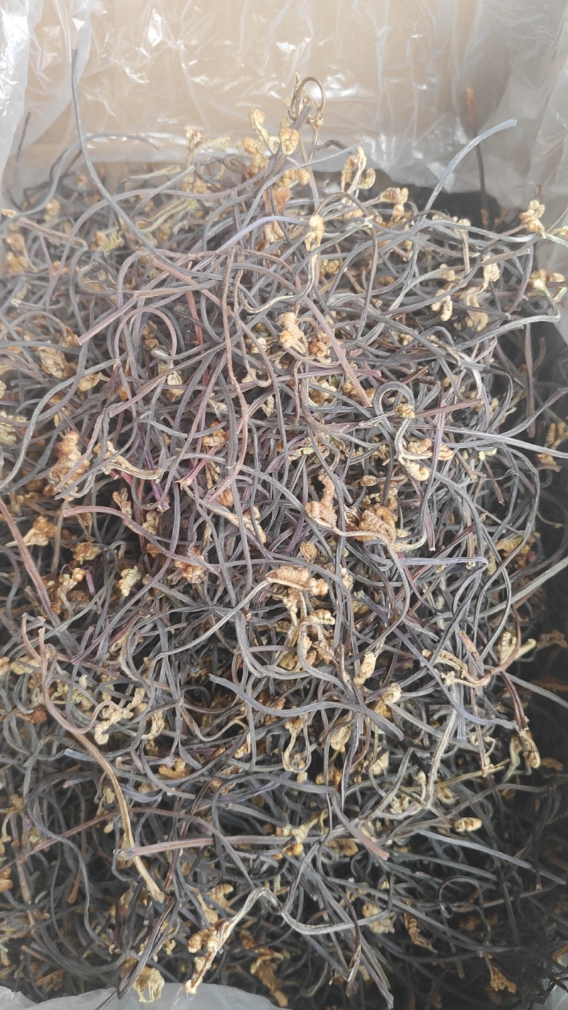 干蕨菜