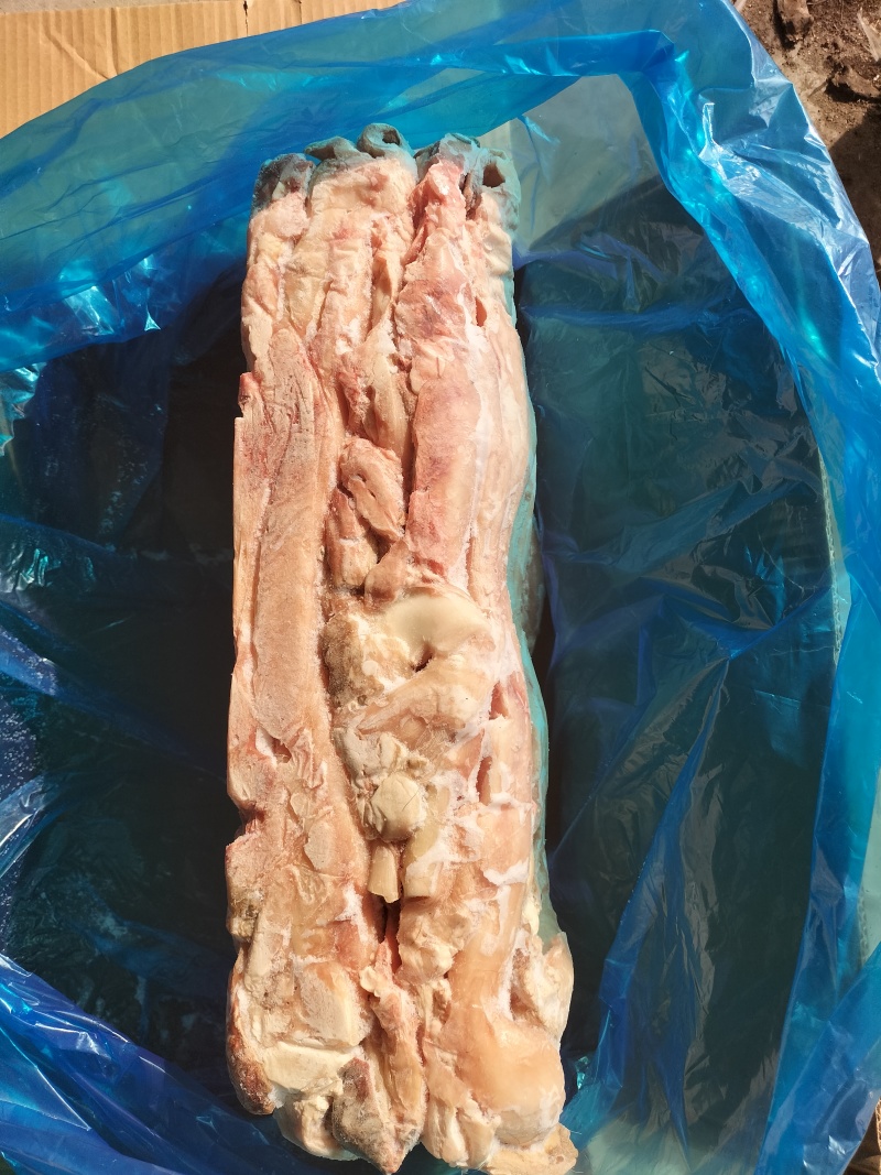 精修牛蹄主筋牛蹄筋产地一手货源量大从优可长期稳定批发供应
