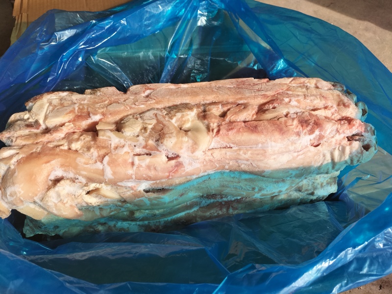 精修牛蹄主筋牛蹄筋产地一手货源量大从优可长期稳定批发供应