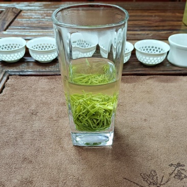 新茶