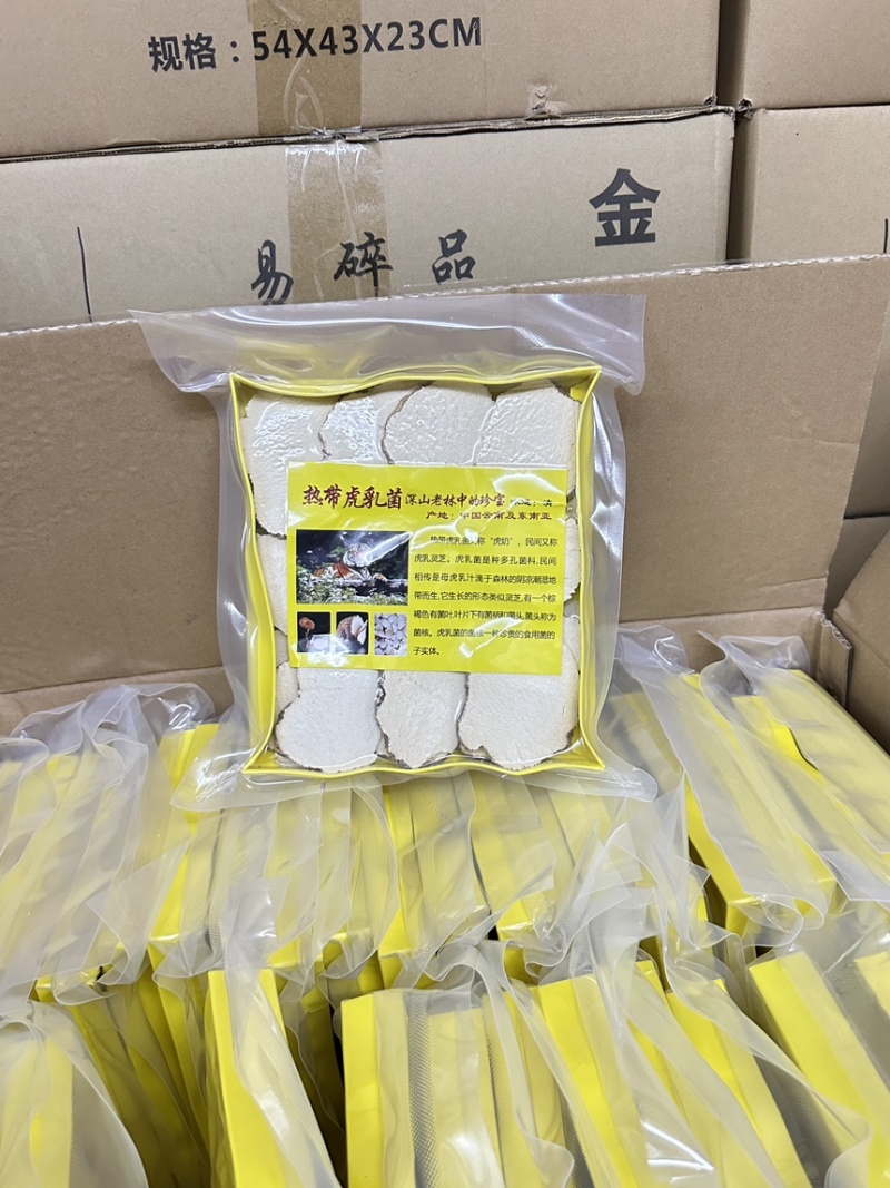 虎乳菌/虎乳灵芝纯手工切片半斤装价格优势包邮到家