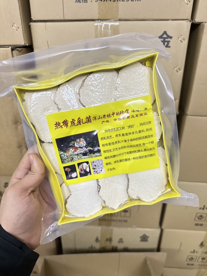 虎乳菌/虎乳灵芝纯手工切片半斤装价格优势包邮到家